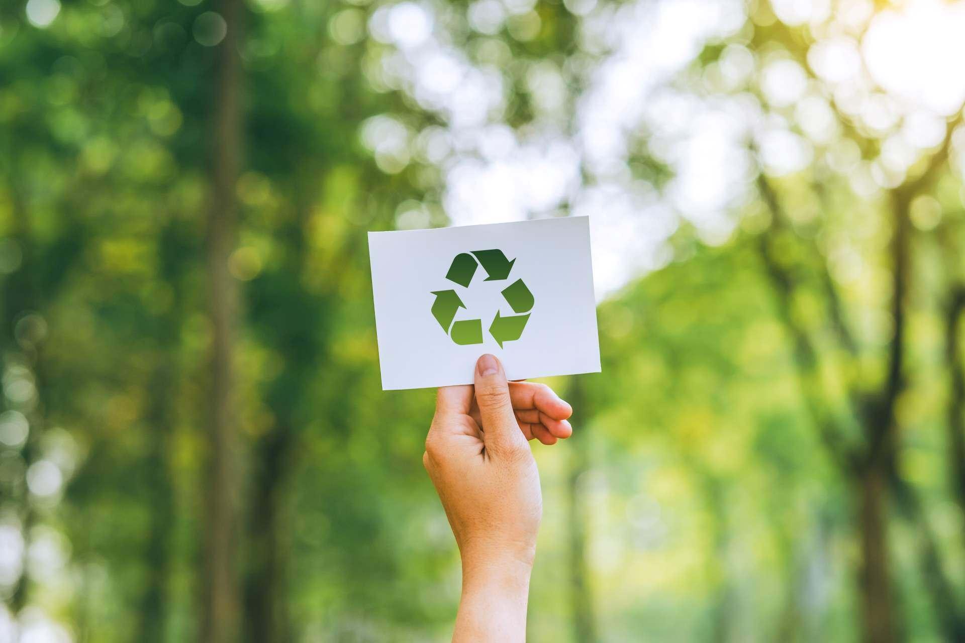 - Sustentabilidade em Alta:‍ Objetos Eco-Friendly que Fazem a Diferença